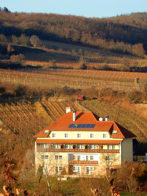 Pension Rudi - Weingut Kellner Hotel Pulkau Exterior photo